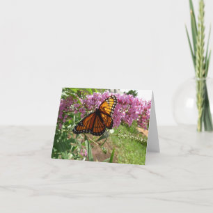Neue Tagesgärten Notecard - Viceroy Butterfly Karte