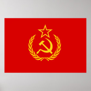 Neue UDSSR, Republik Kongosflagge Poster