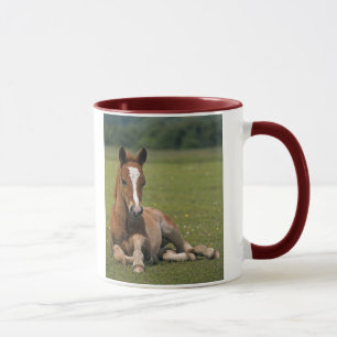 Neue Waldfohlen-Tasse Tasse