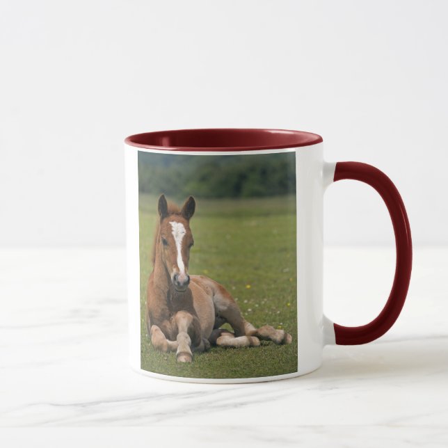 Neue Waldfohlen-Tasse Tasse (Rechts)