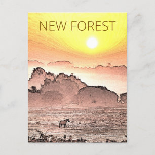 Neue Waldpony bei Sonnenaufgang Postkarte