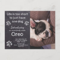 Neue Welpe- Hund Foto Chalkboard Welpenankündigung