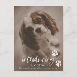 Neue Welpen- oder Hundeankündigung, Adoption für H Postkarte