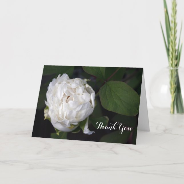 Neue White Peony Floral Fotografy Dankeschön Karte (Vorderseite)