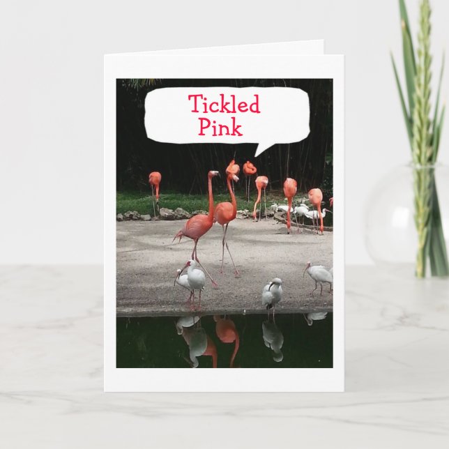 **NEUE ZUHAUSE" FLAMINGOS SIND "TICKLED PINK" KARTE (Vorderseite)