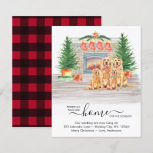 Neue Zuhause Holidays Golden Retriever Dog Moving 