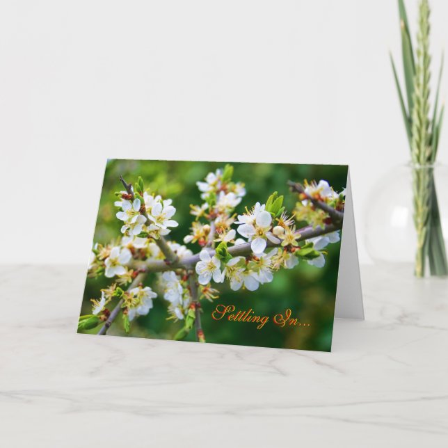 Neue Zuhause - Sun-Dappled Spring Hawthorn Ankündigung (Vorderseite)