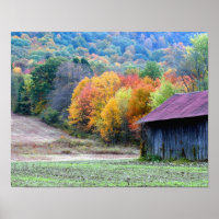Neuengland Tabak Barn Herbst Blätter Natur