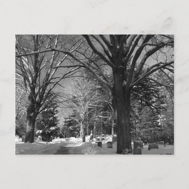 Neuenglands Winter Postkarte (Vorderseite)