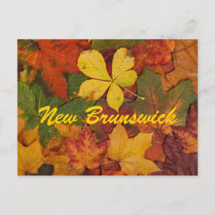 Neuer Brunswick Herbst bleibt Postkarte