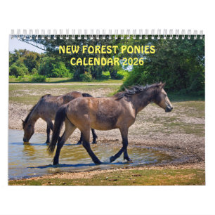 Neuer Forest Ponies-Kalender 2025 Kalender