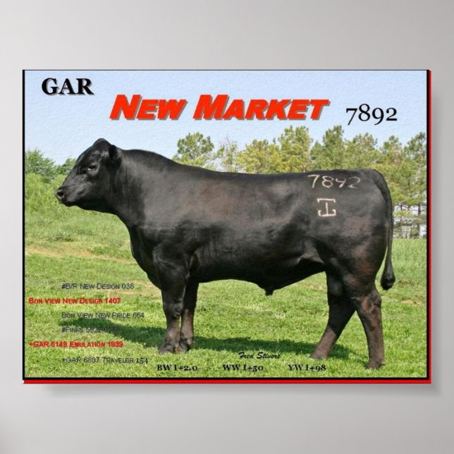 NEUER MARKT POSTER (Vorne)