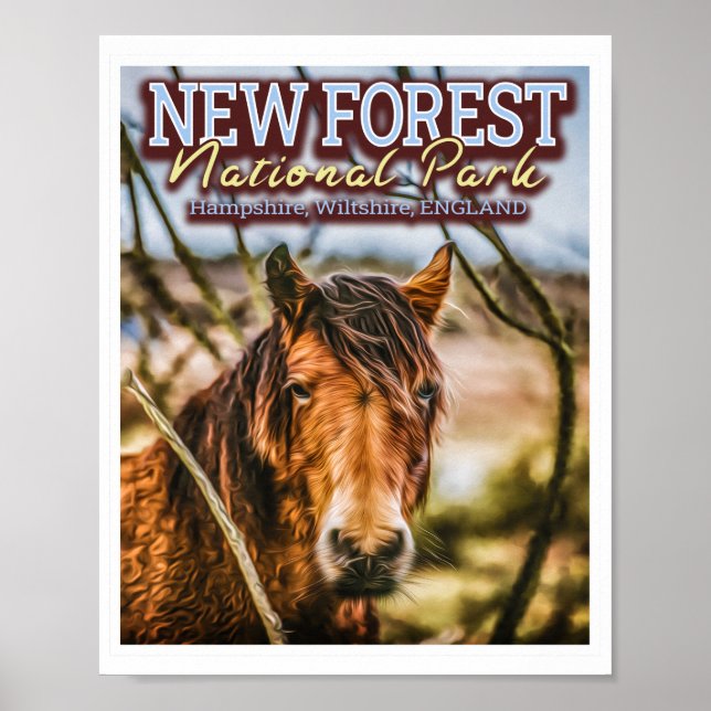 NEUER NATIONALPARK FÜR DEN WALD - NEUER WALDBONNEN POSTER (Vorne)
