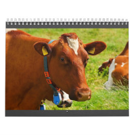 Neuer Niedlicher Kuhkalender Kalender
