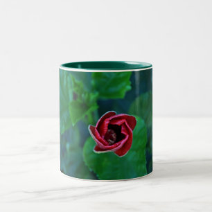 Neuer roter mit BlumenHibiskus Zweifarbige Tasse