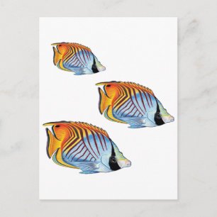 NEUER SCHULTAG POSTKARTE