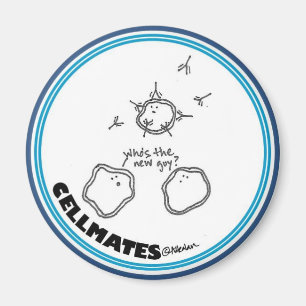 Neuer Typ-Magnet Magnet