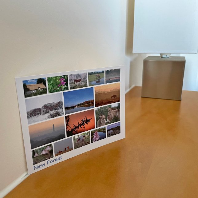 Neuer Wald - Mehrbild 2 Postkarte (Von Creator hochgeladen)