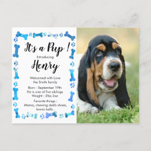 Neuer Welpe Neues Haustier - Blaues Jungen Hund We Postkarte