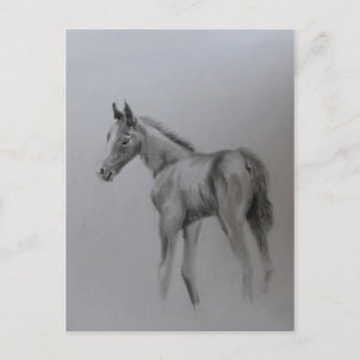 Neues Baby Ankündigungspostkarte