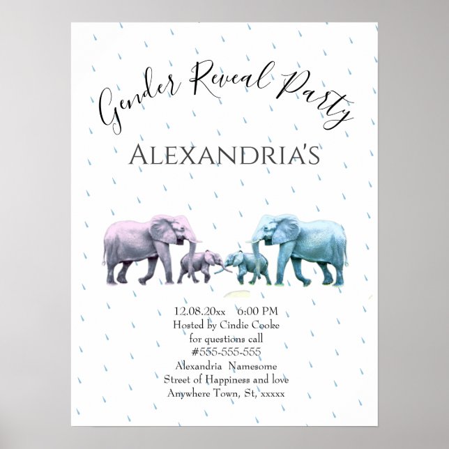 Neues Baby-Geschlecht zeigt Niedliche rosa und bla Poster (Vorne)