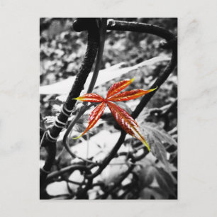 Neues Blatt Postkarte