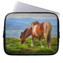 Neues Blut in Dartmoor