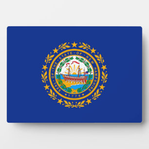 Neues Design der Hampshire State Flag Fotoplatte