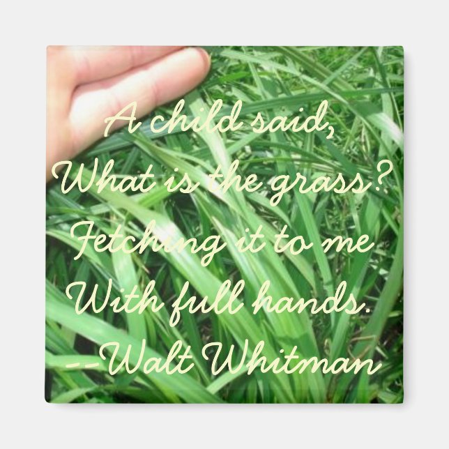 Neues Elternmagnet Set 5 von 5 (verbessert) Magnet (Vorne)