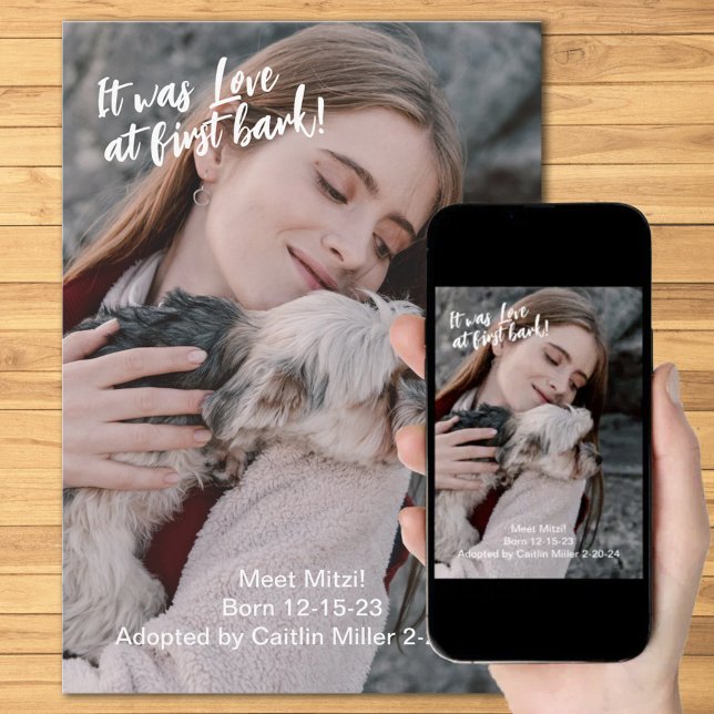 Neues Foto für Haustiere Ankündigung (Von Creator hochgeladen)