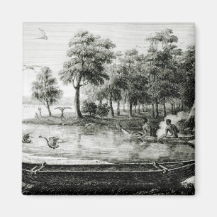 Neues Holland: New South Wales Magnet