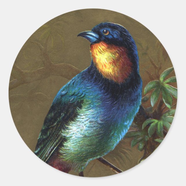 Neues Jahr für tropische Vögel Runder Aufkleber (Vorderseite)