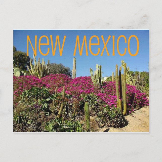 Neues Mexiko Postkarte (Vorderseite)