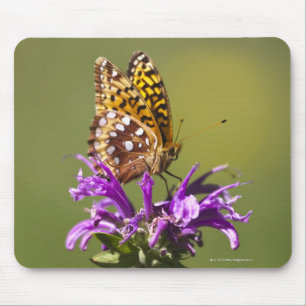 neues Mexiko, USA Mousepad