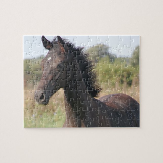 Neues Pferd (Horizontal)