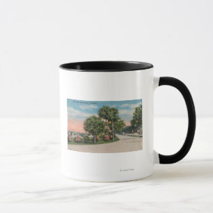 Neues Smyrna, Florida - Straßen-Ansicht des Tasse