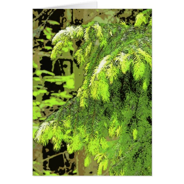 Neues Wachstum (Vorne)