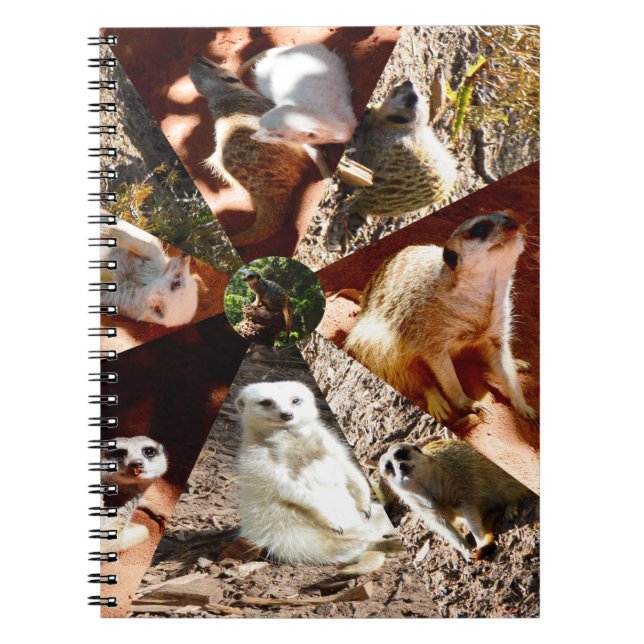 Neuf Triangles Meerkat, Carnet (Devant)