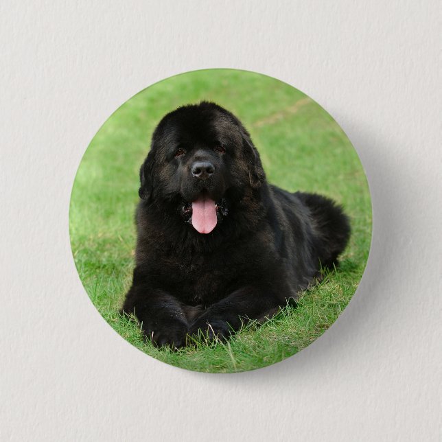 Neufundland Button (Vorderseite)
