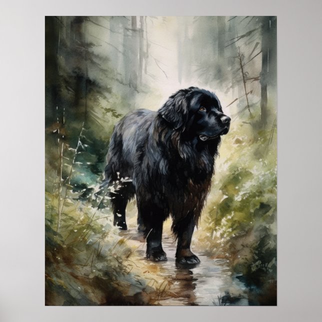 Neufundland Dog Art Print Poster (Vorne)