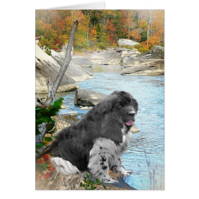 Neufundland durch fließende Stromkarten (Vorne)