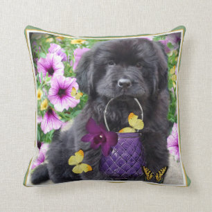 Neufundland ein sonniger Tageskissen Kissen