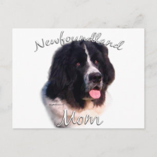 Neufundland (Grundland) Mama 2 Postkarte
