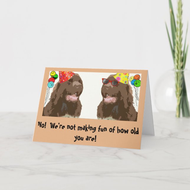 Neufundland Hund Birthday Spaß Karte (Vorderseite)