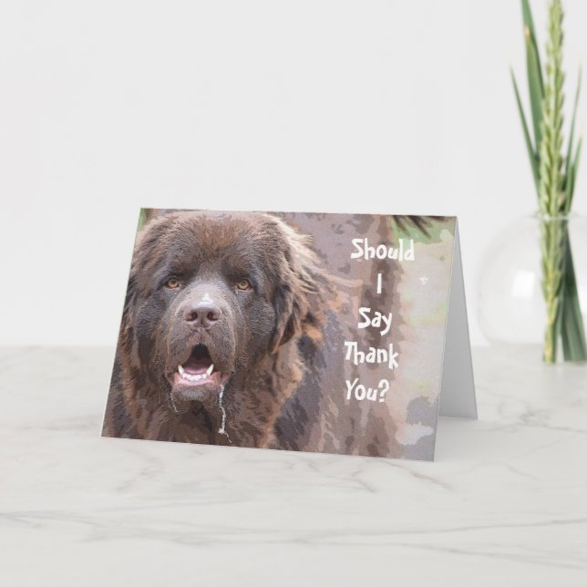 Neufundland-Hund danken Ihnen Dankeskarte (Vorderseite)