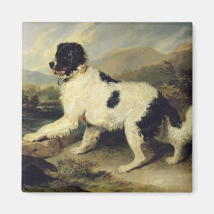 Neufundland Hund genannt Lion, 1824 (Öl auf Leinw Magnet