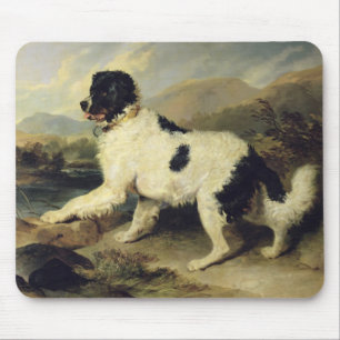 Neufundland Hund genannt Lion, 1824 (Öl auf Leinw Mousepad