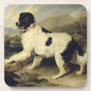 Neufundland Hund genannt Lion, 1824 (Öl auf Leinwa Getränkeuntersetzer