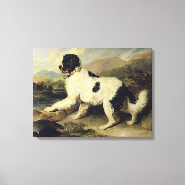 Neufundland Hund genannt Löwe, 1824 (Öl auf Leinwa Leinwanddruck (Vorderseite)