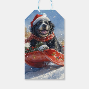 Neufundland Hund in Sledge Let it Snow Christmas Geschenkanhänger